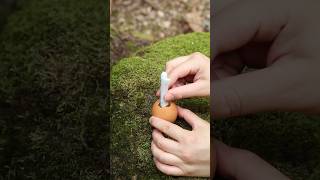 WOW She Сooked an 🥚EGG on EGG survival forest lifehacks bushcraft outdoors camping [upl. by Velvet212]