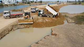 Best Activities Resize Road Construction On Canal Processing Bulldozer KOMATSU D60P Push Soil [upl. by Ahseuqram]