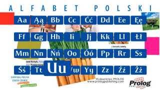 Alfabet polski  Polish Alphabet pronunciation  PROLOG Publishing [upl. by Muriel]