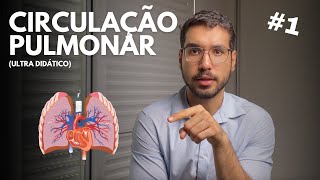 1 CIRCULAÇÃO PULMONAR ULTRA DIDÁTICO [upl. by Gnet]