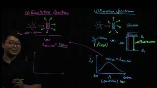 Fluorescence Spectroscopy Emission Spectrum vs Excitation Spectrum [upl. by Iow273]