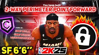 How To Make a “2WAY PERIMETER POINT FORWARD” Build in NBA 2K25 The Perfect Defensive Floor General [upl. by Noed953]