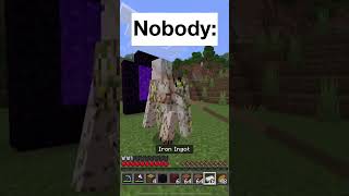 are there minecraft players like this shorts minecraft [upl. by Eilliw]