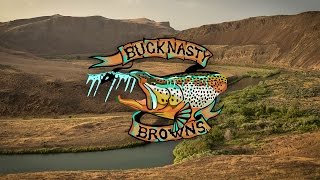 BUCKNASTY BROWNS  Full Film [upl. by Anatola601]