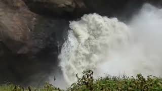 Murchison Falls live  WATER [upl. by Anitserp]