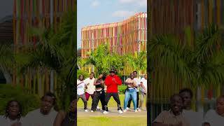 Sekoma By Chris Eazy Dance Challenge🔥🔥 Titi Brown [upl. by Lrem]