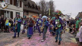 Guggenmusik Quastenflosser Hinterthurgau Groppenfasnacht Ermatingen 11032018 [upl. by Aniroc]