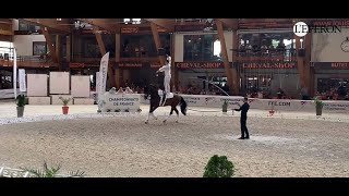 En immersion au championnat Amateur du Mans 3  Théo Gardies et Sir Sensation [upl. by Santos]