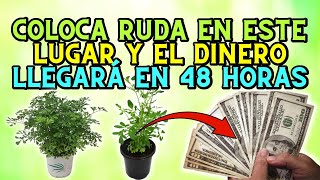 Coloca ruda en este lugar y el dinero llegará en 48 horas [upl. by Beora]