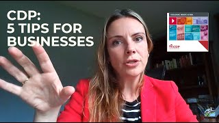 CDP Submissions 101 5 Tips for Businesses [upl. by Lienhard]