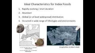 Biostratigraphy [upl. by Stoughton360]