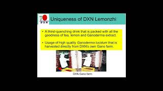 DXN Lemonzhi [upl. by Angelita917]