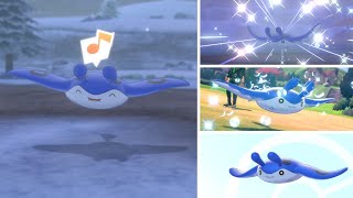 Shiny Mantine  Pokemon Sword [upl. by Euqinot]