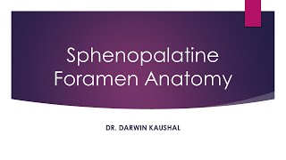 Sphenopalatine foramen anatomy [upl. by Aliban229]