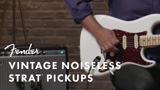 Vintage Noiseless Pickups  Fender [upl. by Kahcztiy]