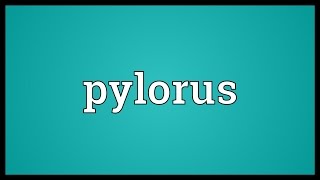 Pylorus Meaning [upl. by Longawa]