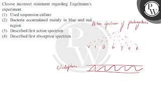 Choose incorrect statement regarding Engelmanns experiment [upl. by Htrow]