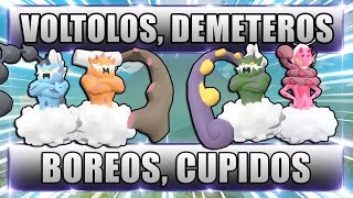 FANG die COOLSTEN Pokemon Voltolos Demeteros Boreos amp Cupidos fangen in Pokemon Legenden Arceus [upl. by Mcclees]