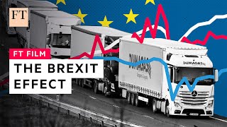 The Brexit effect how leaving the EU hit the UK  FT Film [upl. by Atirehc]