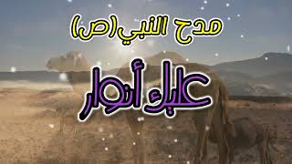 مدحة حسانيةعليك أنوارشباب المرجان [upl. by Myriam]