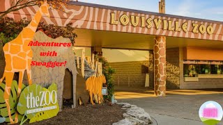 Louisville Zoo Louisville Ky [upl. by Svirad]