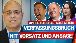 Haushaltsdesaster Verfassungsbruch mit Vorsatz und Ansage Peter Boehringer  AfDFraktion im BT [upl. by Anigue657]