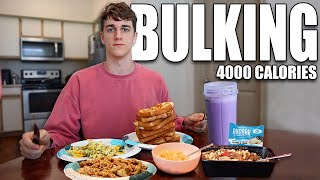 4000 Calorie Full Day of Eating  BULKING Meal Prep [upl. by Hait596]