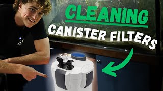 Easy Canister Filter Setup Cleaning and Maintenance [upl. by Leruj]