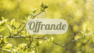 Offrande  Paul Baloche  Cover [upl. by Nhguavahs]