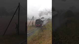 Auf dem Weg nach Rauenstein thüringen br95 dampflok steamtrain shorts steam dampflokomotive [upl. by Ennovoj132]