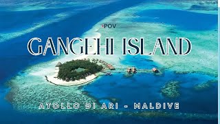 VeraClub Gangehi Island  Atollo di Ari  Maldive 🇲🇻 POV [upl. by Anrahc]