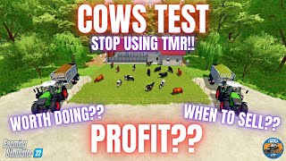 COWS TEST  Farming Simulator 22 [upl. by Kwapong997]