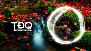 More Plastic  Razor  Dubstep  TĐQ 1  Copyright Free Music [upl. by Adnilreh]