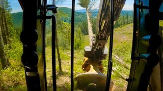 Slick Fir On Steep Ground Cutting A Yarder Block Near Willamina Oregon [upl. by Hartmunn]