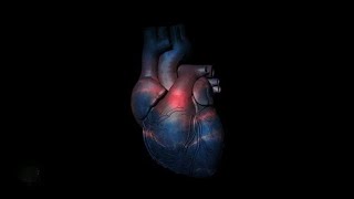 575 Hz Frequency For Atrial Fibrillation  15 Min Rife Healing Treatment  Isochronic Binaural Beat [upl. by Aitital]