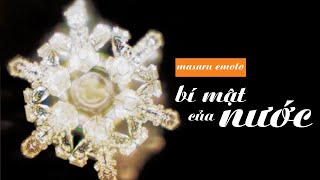 Sách Nói Bí Mật Của Nước  Chương 1  Masaru Emoto [upl. by Pepi]