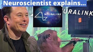 Neuralink Brain Pong Neuroscientist Explains w Prof Andrew Jackson [upl. by Salisbury]