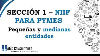 NIIF PARA PYMES SECCIÓN 1 [upl. by Dita305]