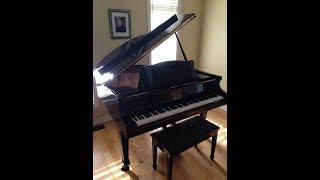 quotBobcaygeonquot by The Tragically Hip  Jeff Vainio Piano Cover [upl. by Haral171]