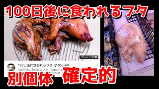 100日後に食われるブタ 別個体だということが確定的！！ 100日目 プレミア動画が削除 スーパーで買った豚の可能性 Eaten Pig after 100 days きくちゆうき ひろゆき [upl. by Denoting]