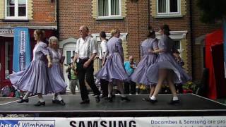 Spank the planks perform whiskey before breakfast Wimborne folk festival 2016 [upl. by Kathrine683]