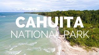 Cahuita National Park Guided Walk [upl. by Esinned]