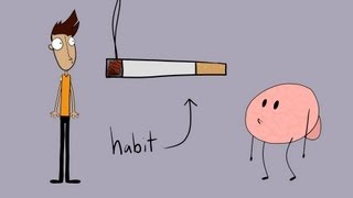 The Power of Habit [upl. by Urbain]