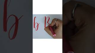 Mastering the letter B with a Brush Pen Calligraphy calligraphyalphabet brushpencalligraphy [upl. by Sualocin]