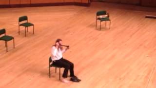 Mnozil Brass  Cardiff 2013  Pt 6 The Lonely Boy [upl. by Anierdna]