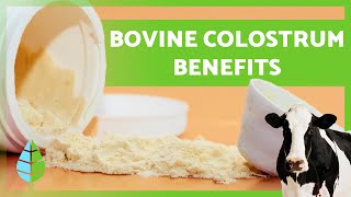 BOVINE COLOSTRUM 🥛🐮 12 Health Benefits You Need to Know [upl. by Rinum]