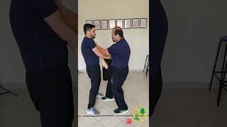 Fragmentos do Ving Tsun Wing Chun  31 vingtsun wingchun martialarts kungfu [upl. by Leirud362]