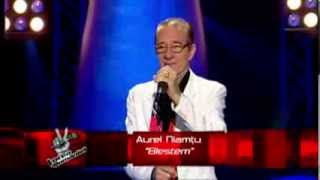 Auditii pe nevazute  Prima Editie  Aurel Niamtu  Vocea Romaniei 2013 S3 [upl. by Anoerb]