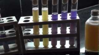 Bacteriological analysis of water by multiple tube method [upl. by Vanderhoek]