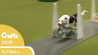 Flyball  YKC Final  Crufts 2018 [upl. by Staley205]